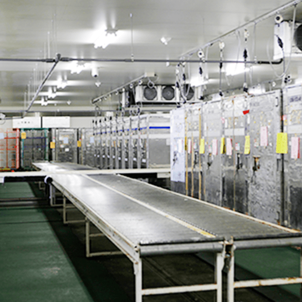 Fixed Temperature Sorting Room